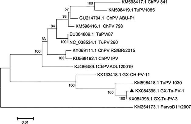 FIG 1