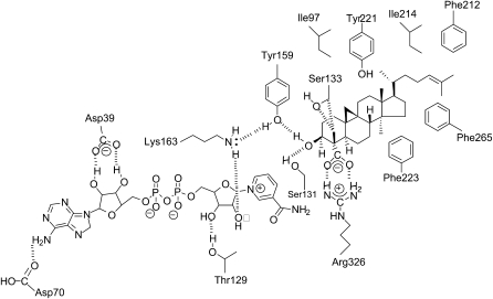 Figure 7.