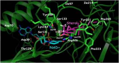 Figure 5.