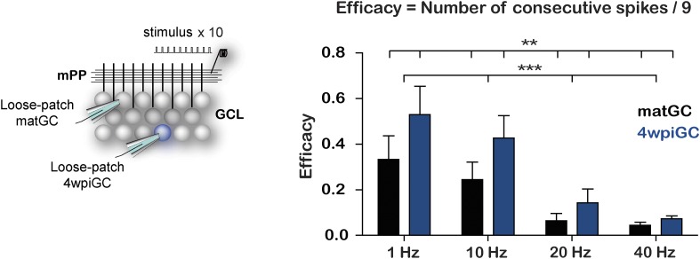 Figure 1—figure supplement 2.