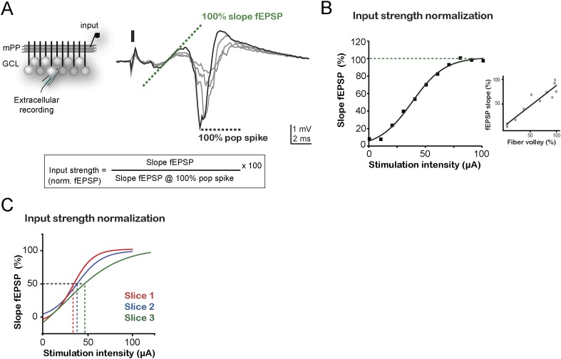 Figure 1—figure supplement 1.