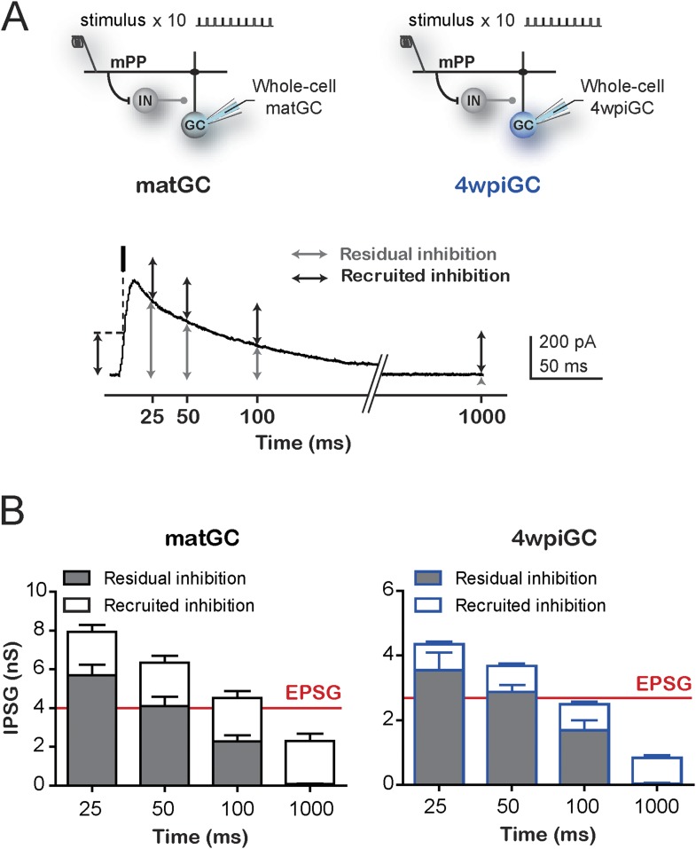 Figure 3—figure supplement 2.