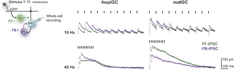 Figure 4—figure supplement 1.