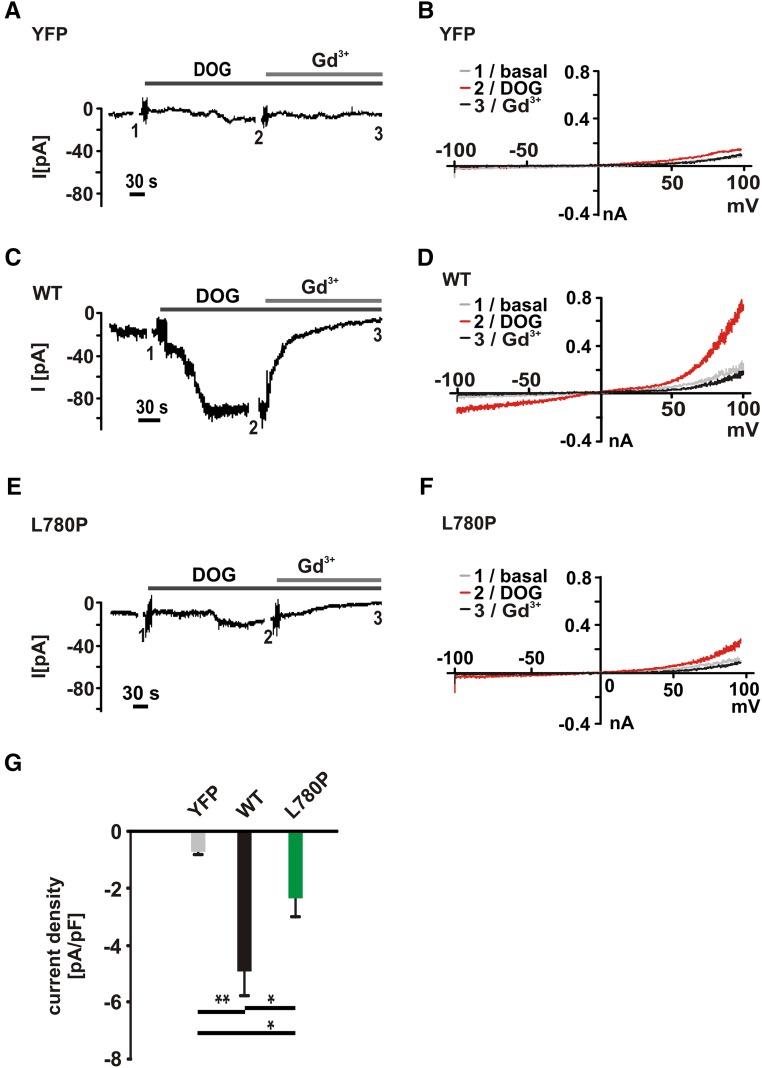 Figure 7.