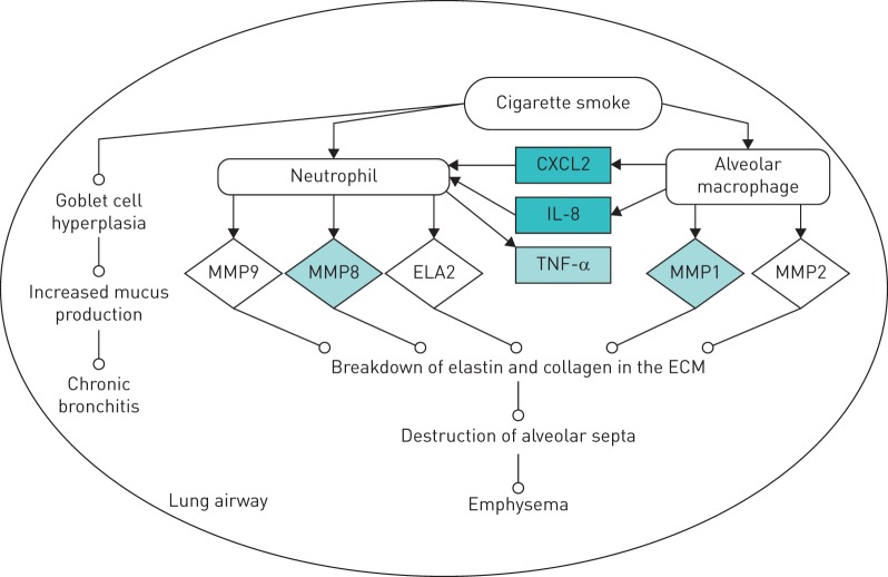 FIGURE 2