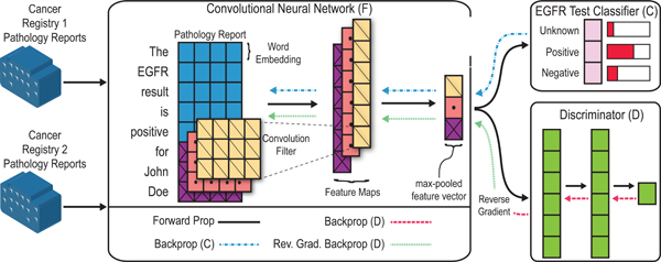 graphic file with name nihms-1537517-f0001.jpg