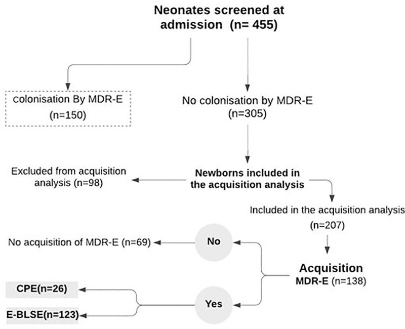 Fig 1