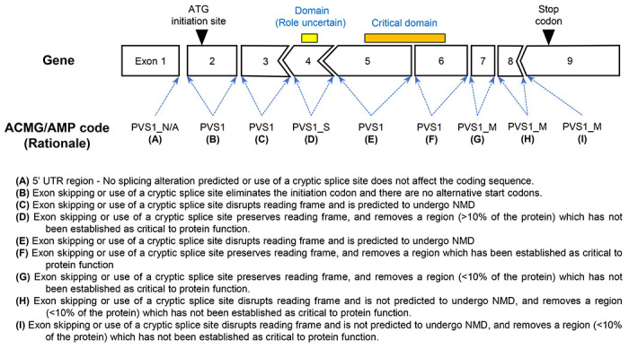 Figure 4 -