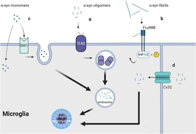 FIGURE 1