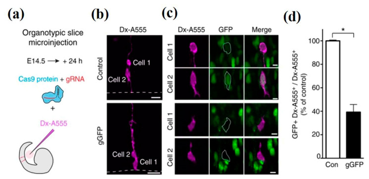 Figure 10