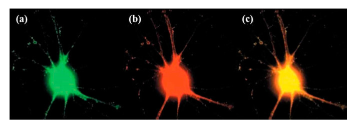 Figure 11