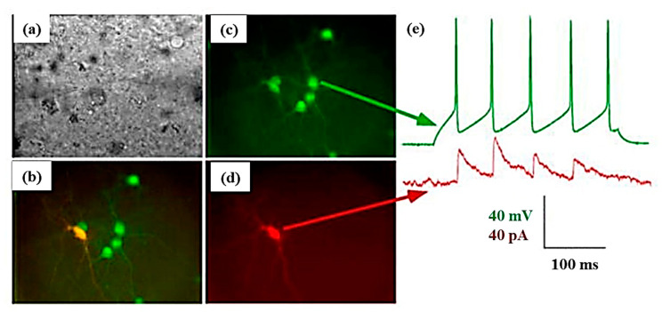 Figure 9