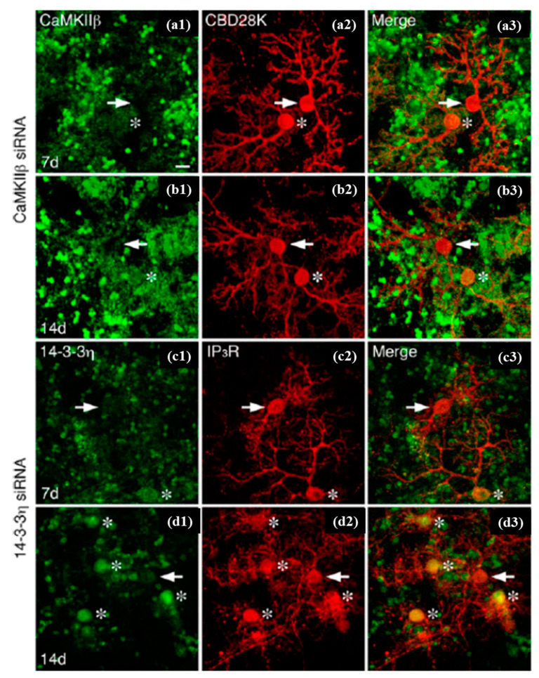 Figure 15