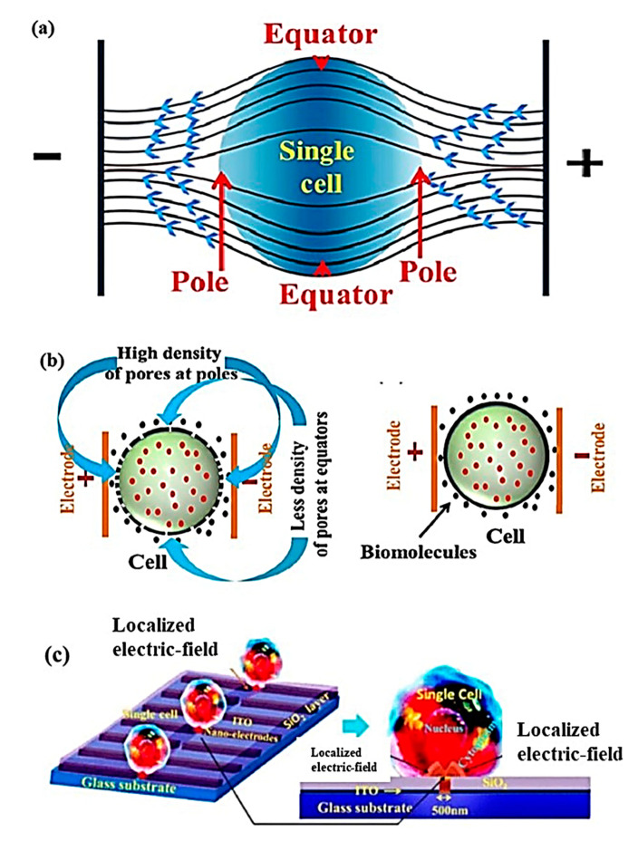 Figure 13