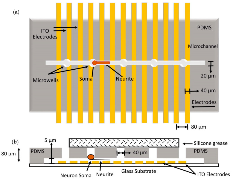 Figure 18