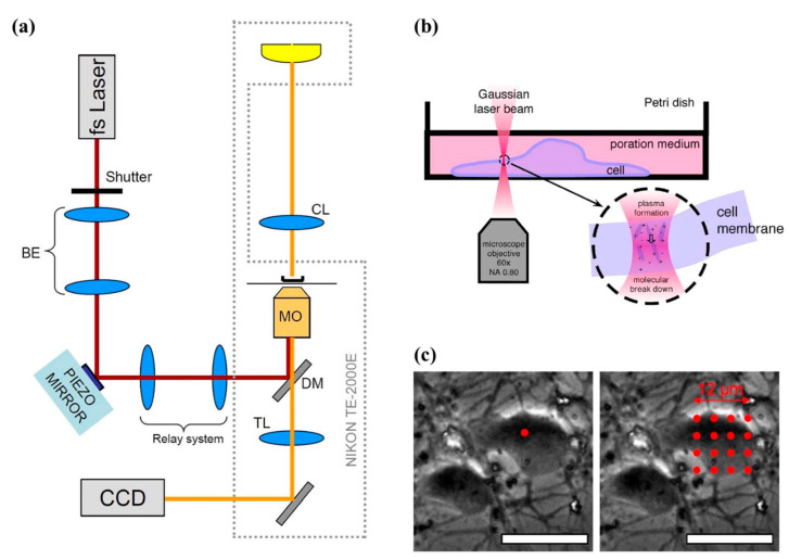 Figure 16