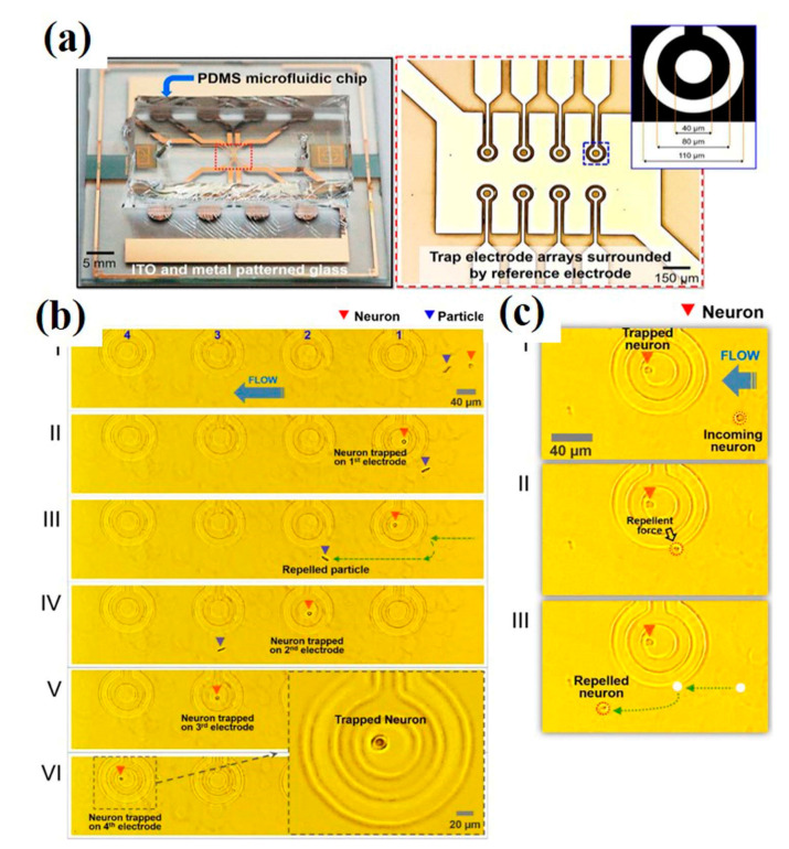 Figure 20