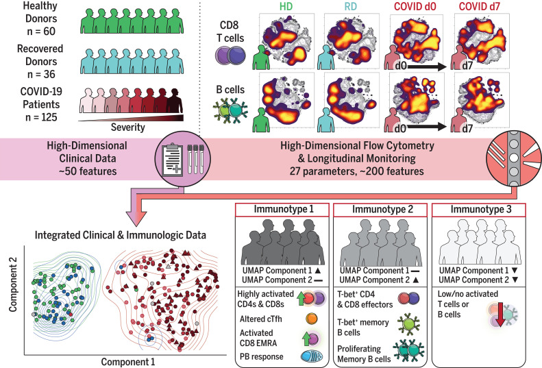 High-dimensional immune response analysis of COVID-19 patients identifies three immunotypes.