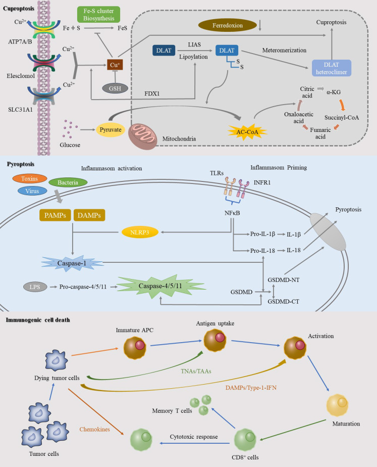 Figure 2