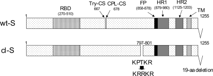 FIG. 1.