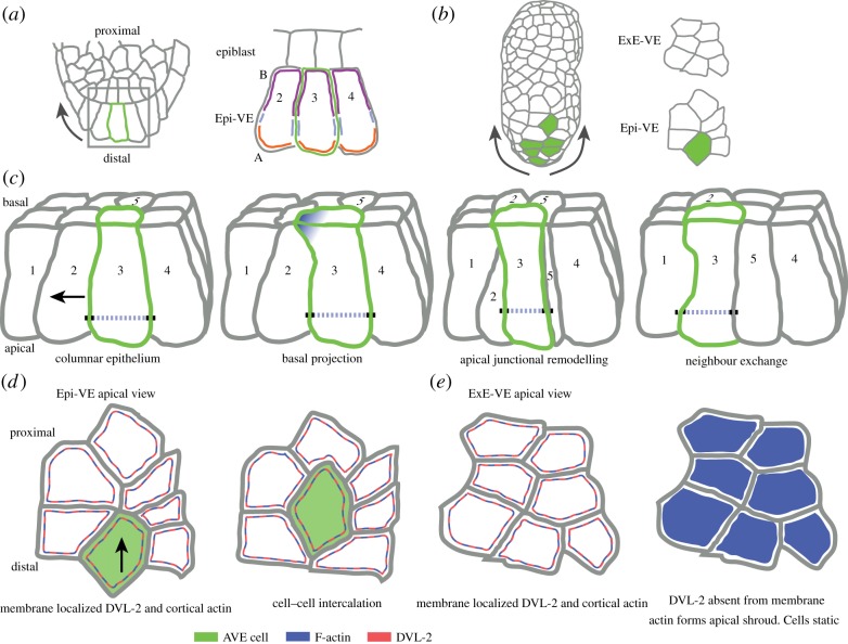 Figure 2.