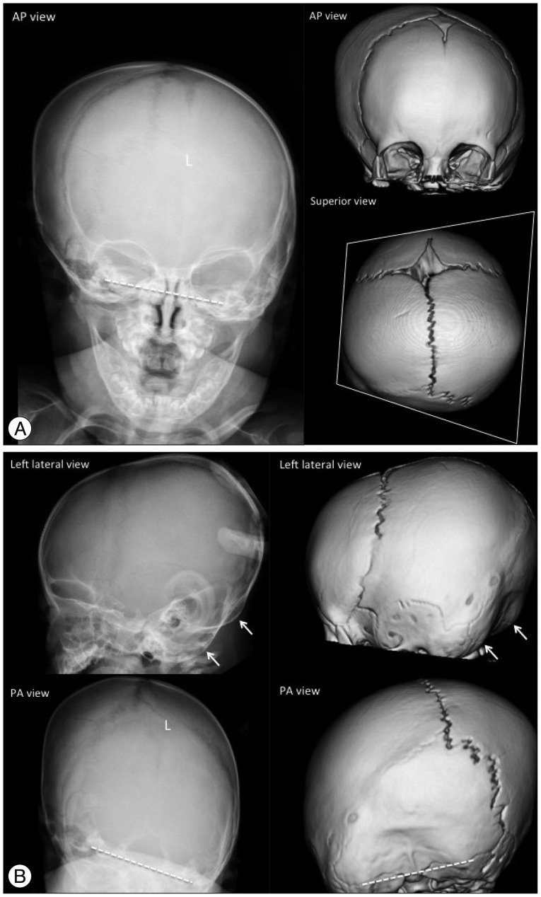 Fig. 8