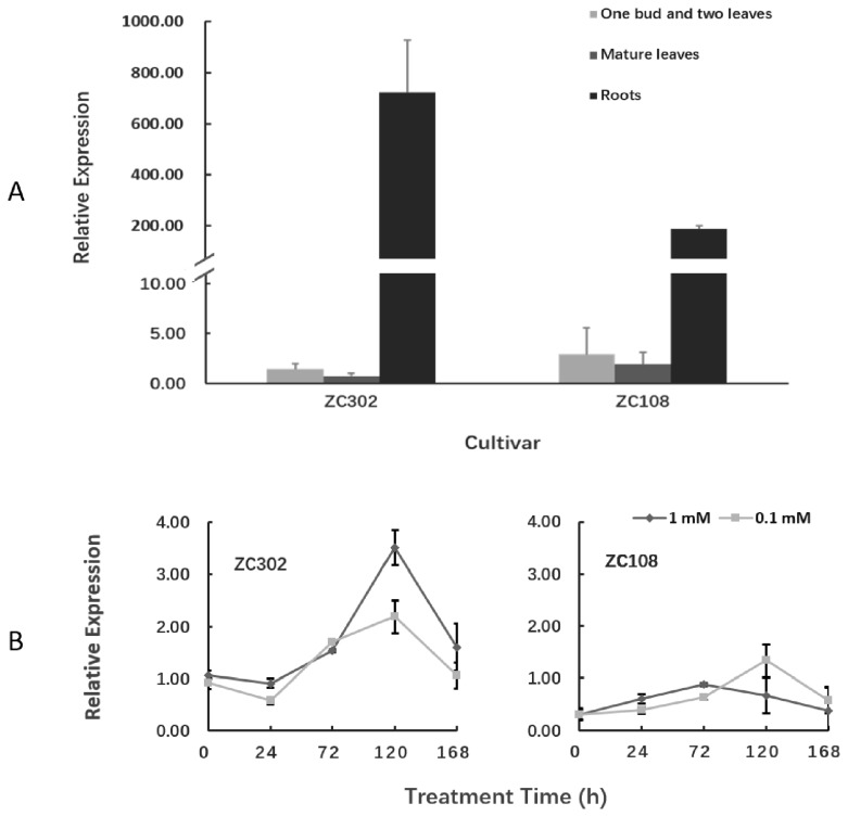 Figure 6