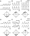 Fig. 9.