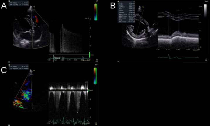 Figure 3.