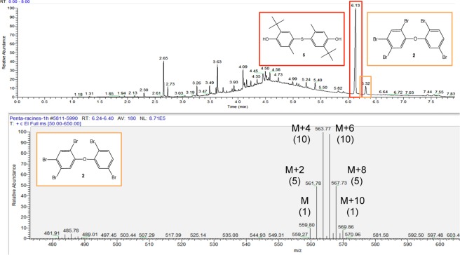 Figure 6