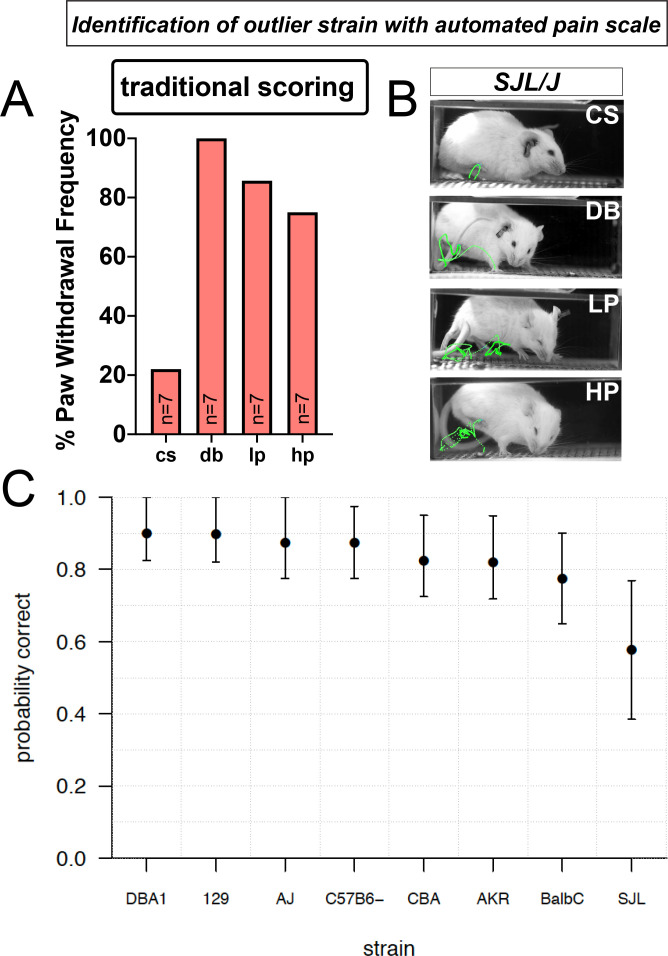 Figure 6.