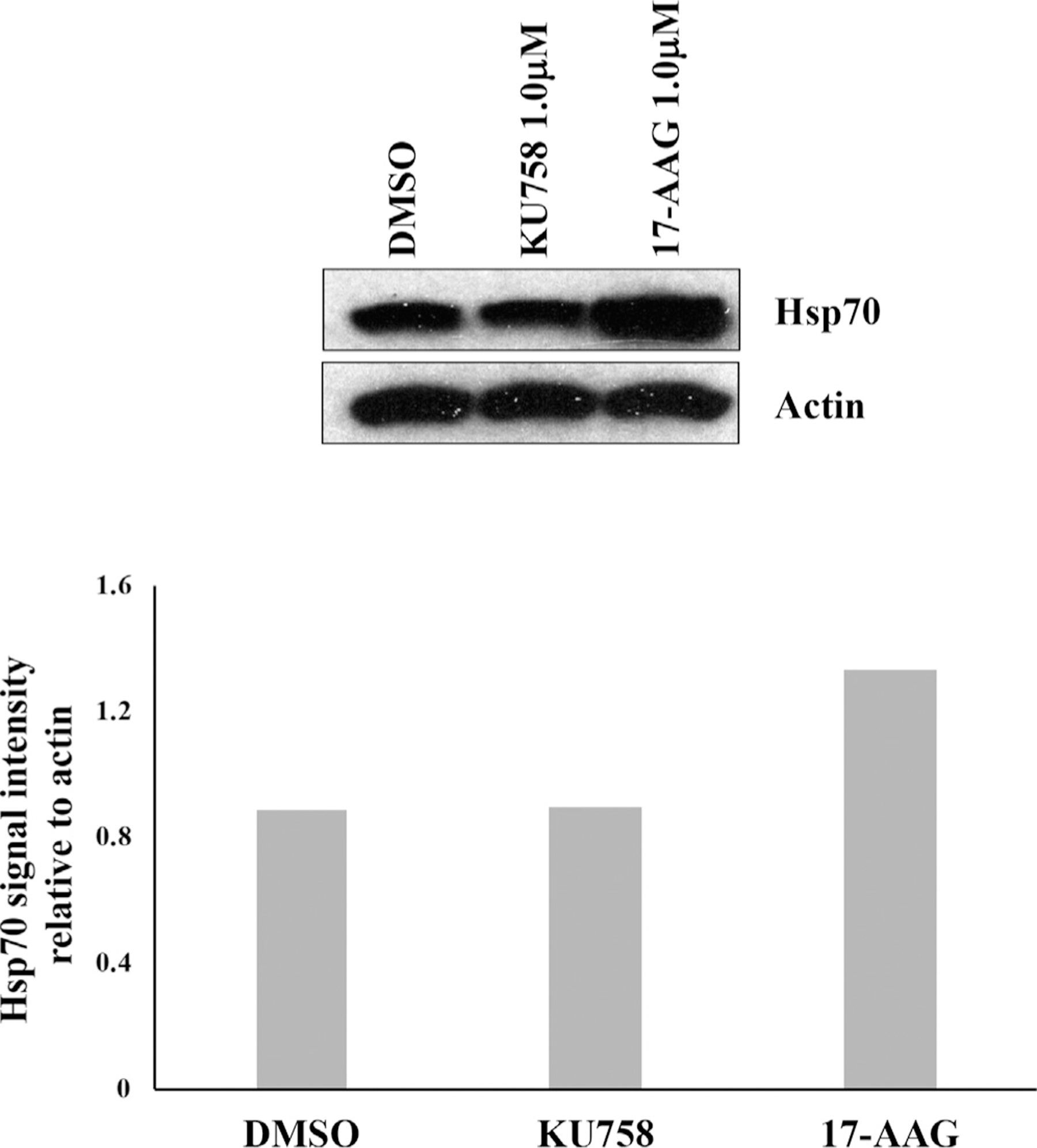 Fig 3.