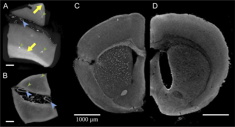 Fig. 3.