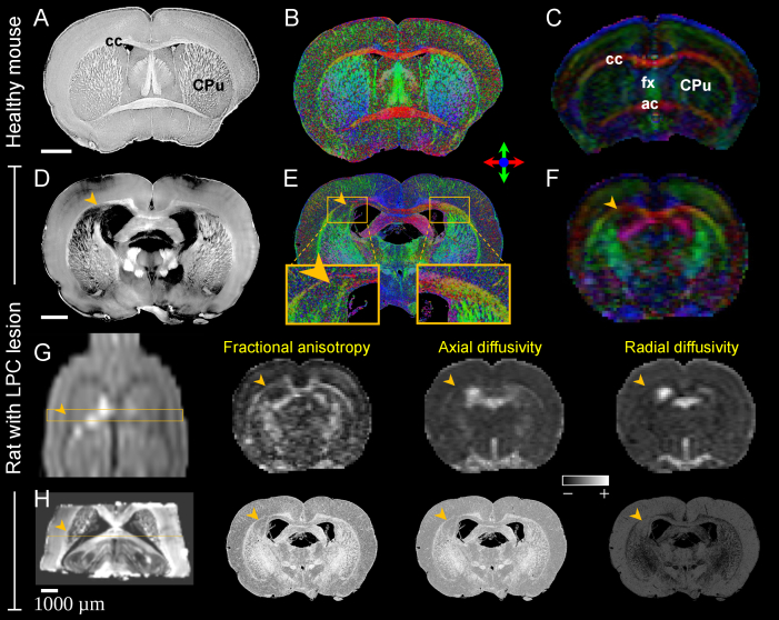 Fig. 6.