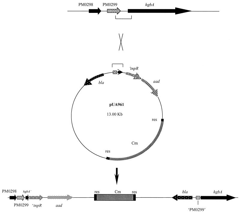 FIG. 5.