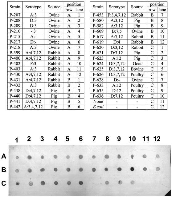 FIG. 7.