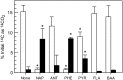 <b>FIG. 1.</b>