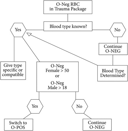 Fig. 19.1