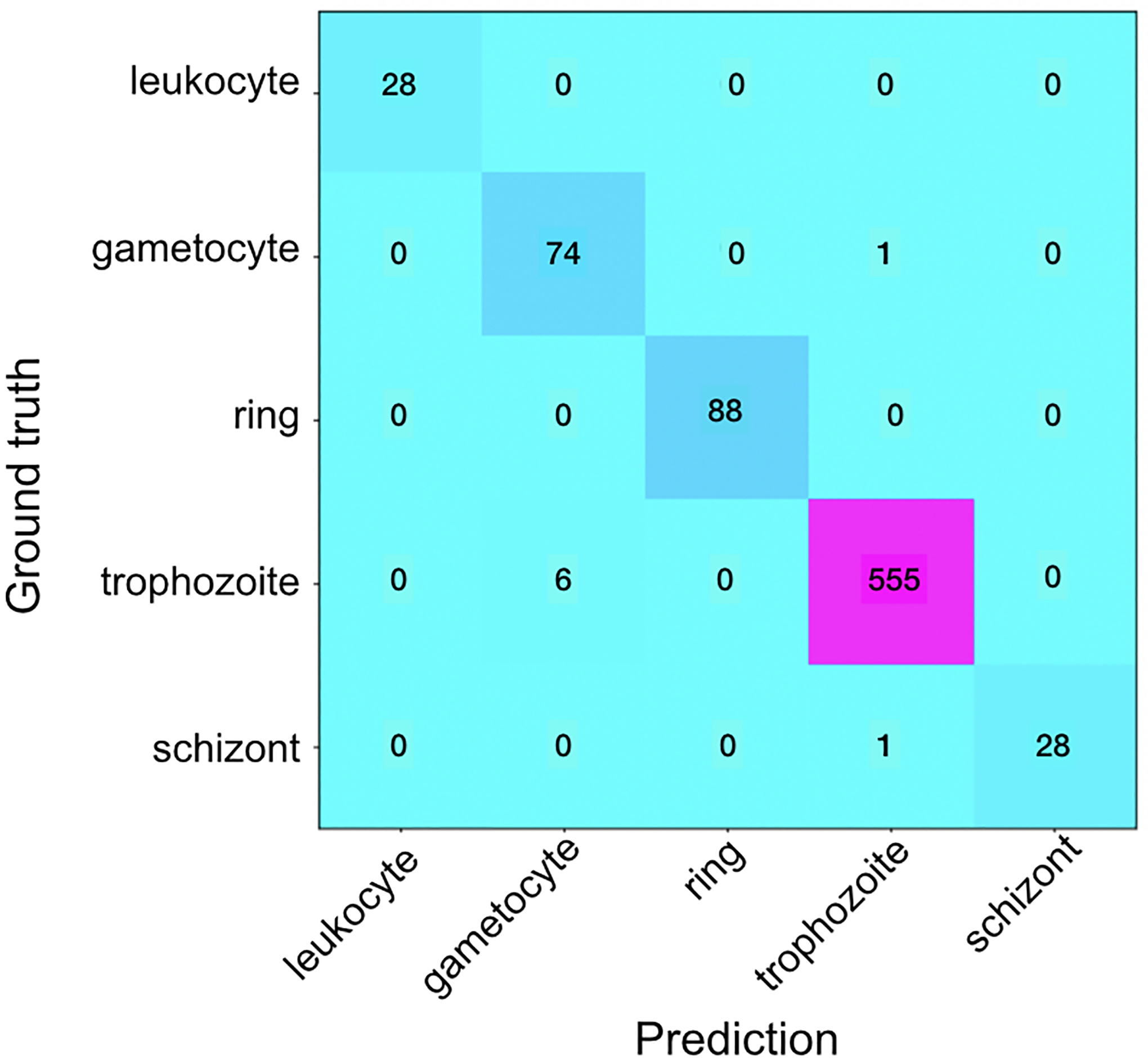 Figure 7.