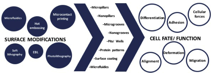 Fig. 10