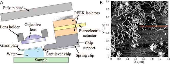 Figure 11