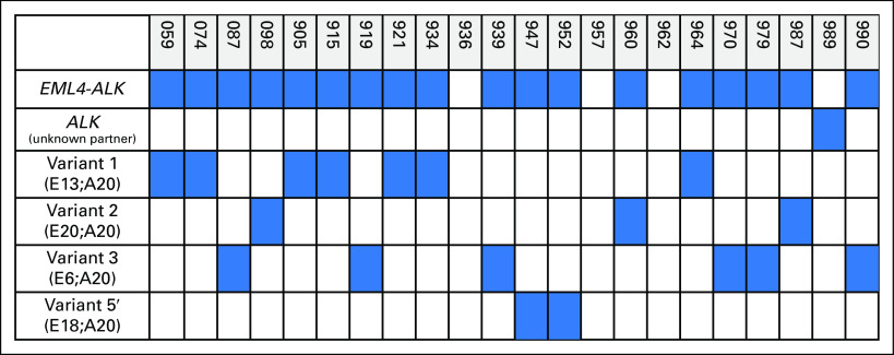 Fig A1.