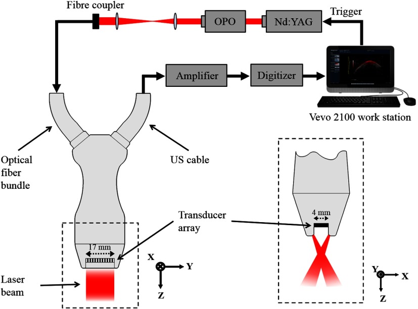 Fig. 1