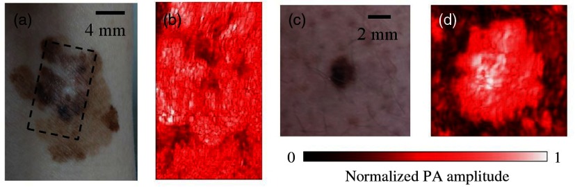 Fig. 5