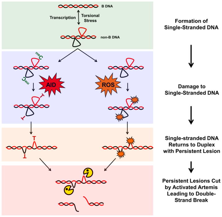 Figure 3, Key Figure