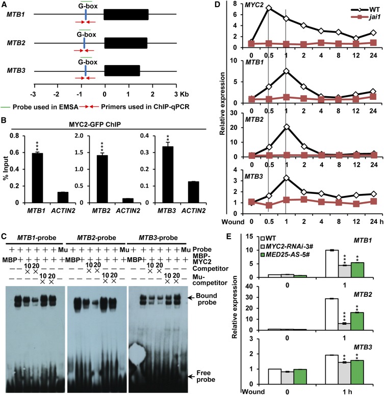 Figure 2.