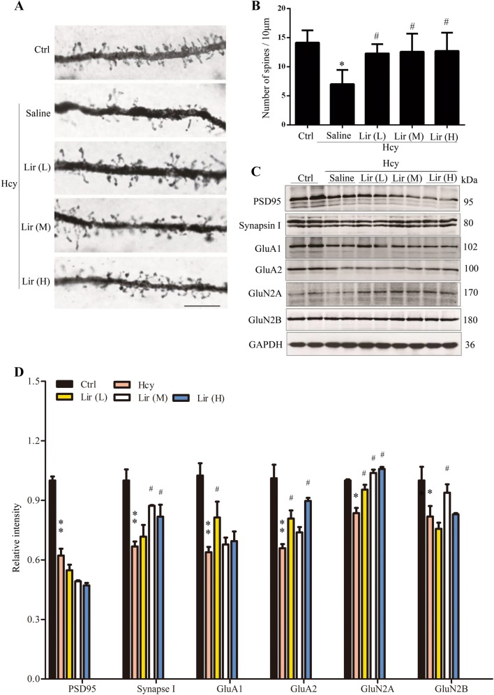 Fig. 2