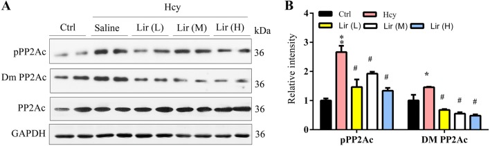 Fig. 4