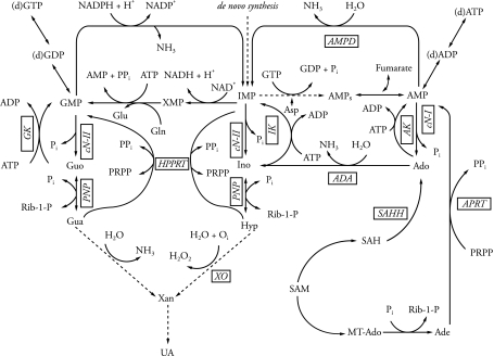 Fig. 1