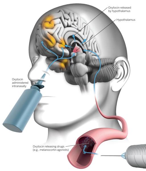 Oxytocin therapeutic strategies